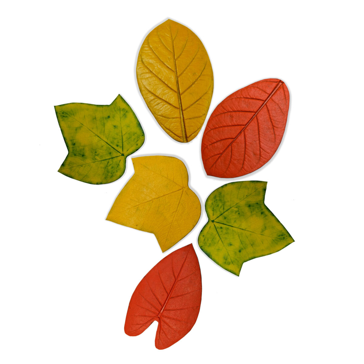 Dessous de verre FOLHINHAS - kit 6 unités type 01