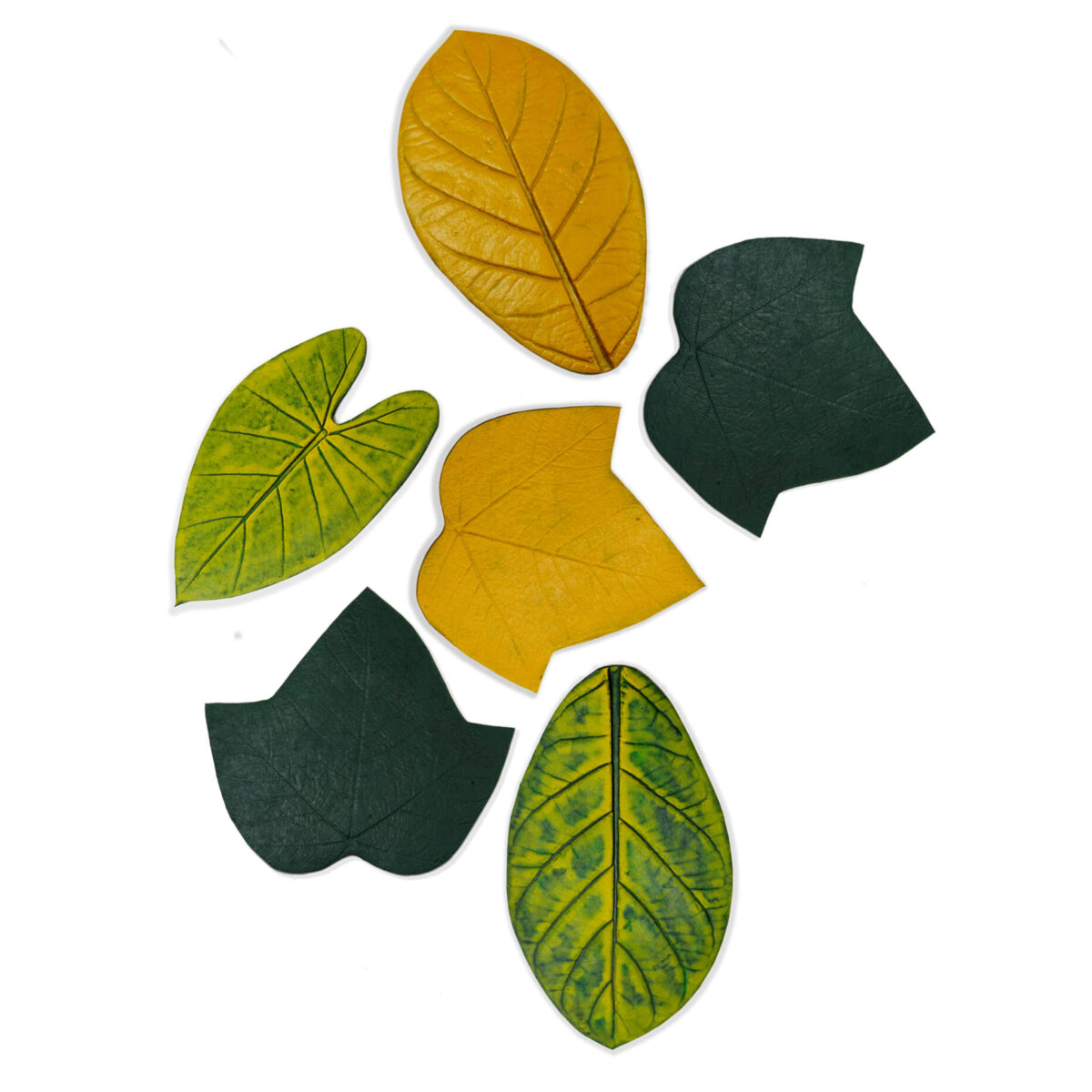 Dessous de verre FOLHINHAS - kit 6 unités type 03