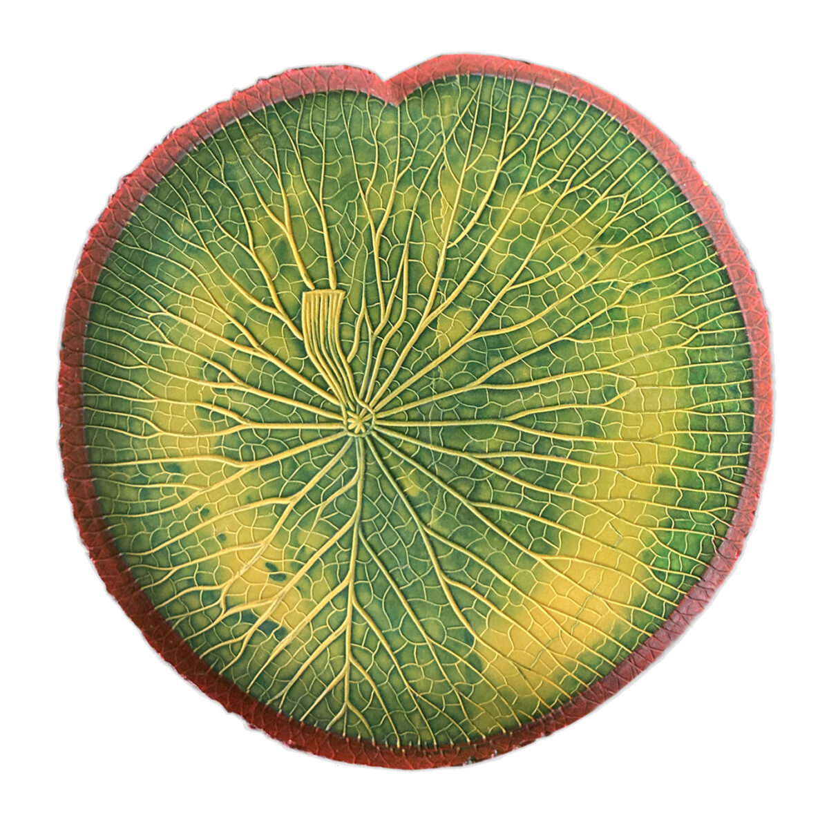 Plateau VITÓRIA RÉGIA couleur VERT-JAUNE bord rose