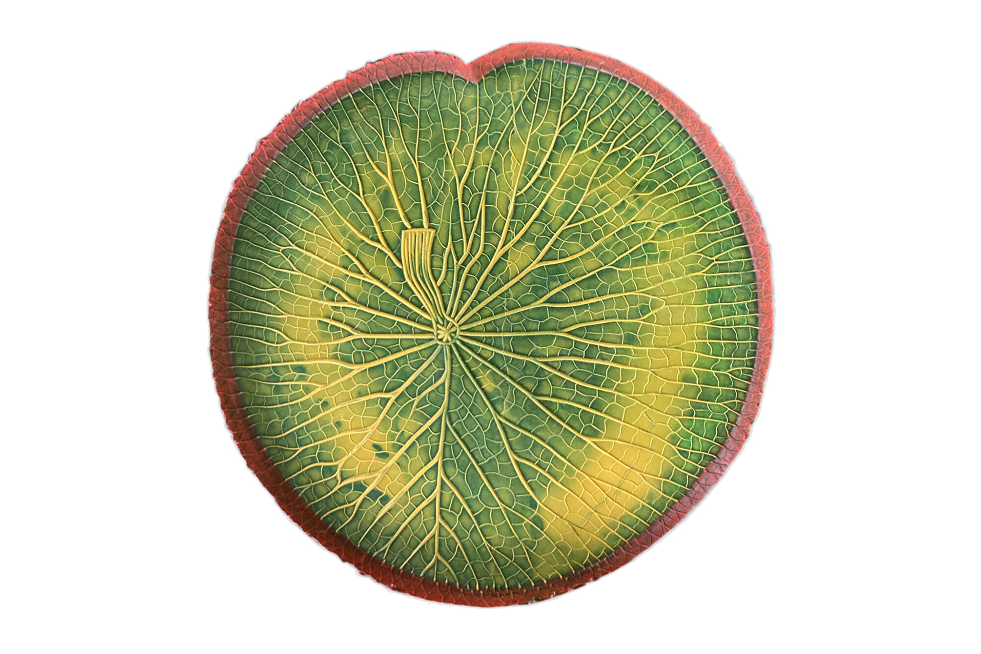 Plateau VITÓRIA RÉGIA couleur VERT-JAUNE bord rose