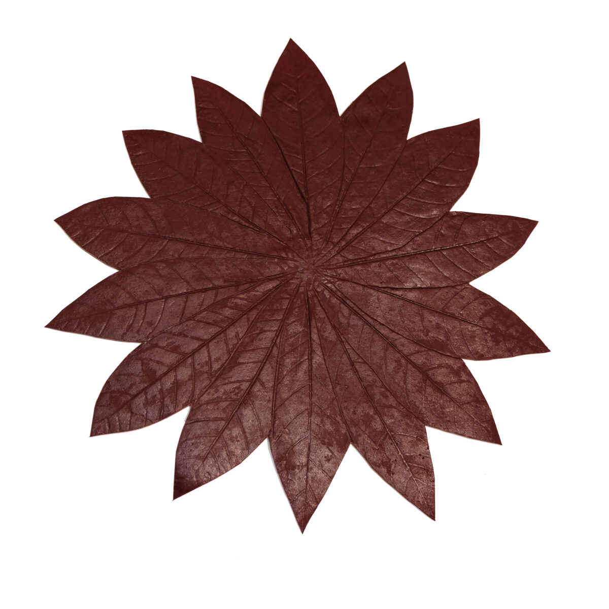 Sabia-feuille-Amazonienne-Seringueira-Bordo