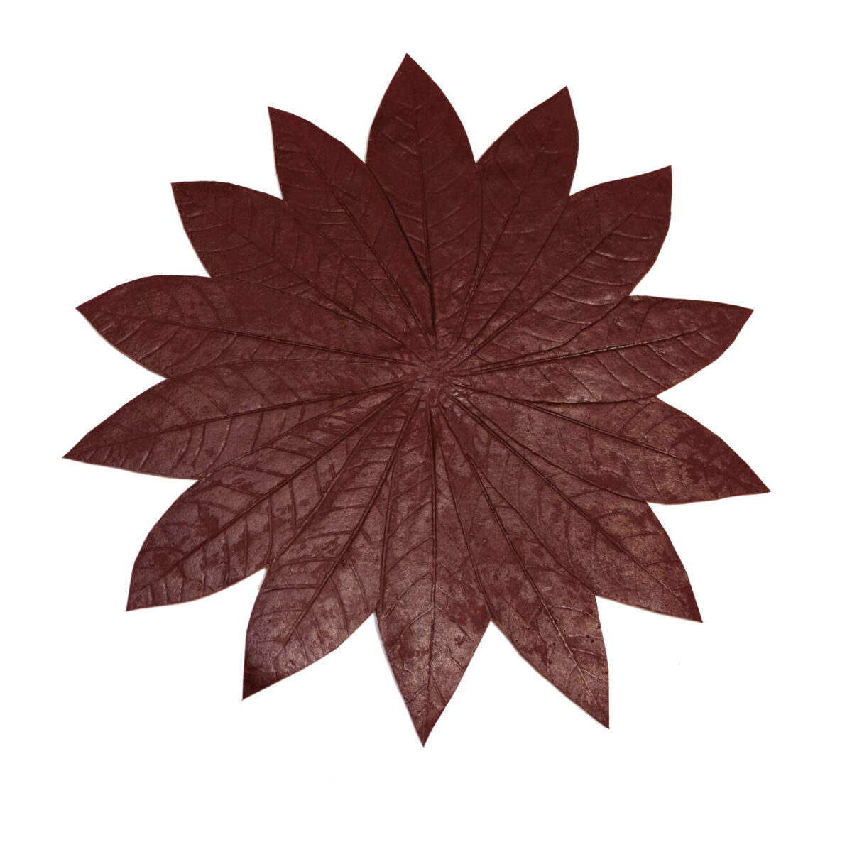 Sabia-feuille-Amazonienne-Seringueira-Bordo